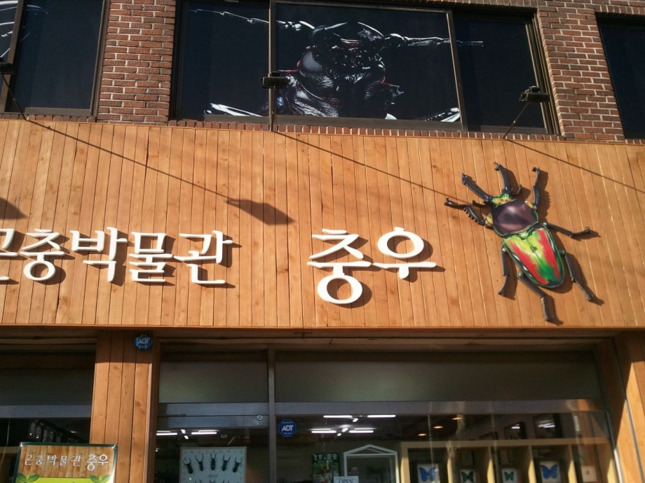 충우 탐방기